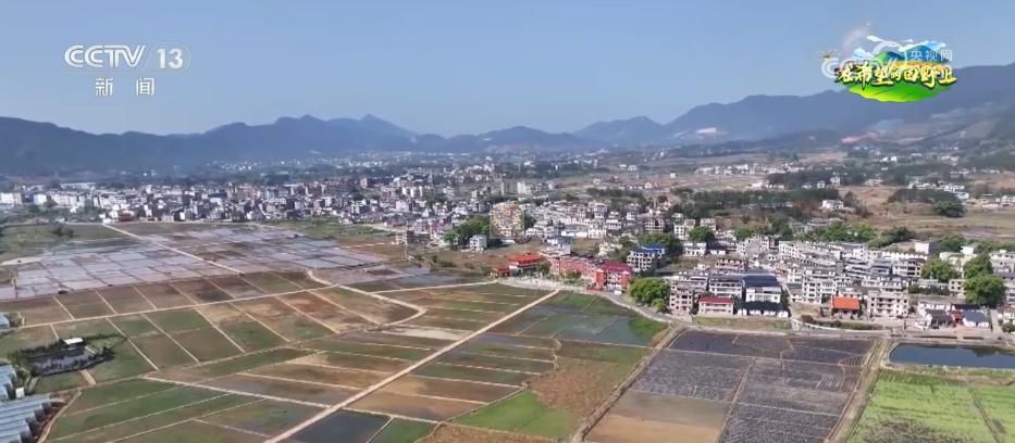 AI模型、“北斗”、物聯(lián)網(wǎng)……智慧農(nóng)業(yè)成為田間地頭新常態(tài)(圖13)